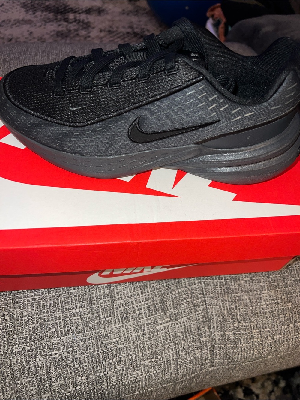Nike Men’s Black/Gray Low-Top Sneakers